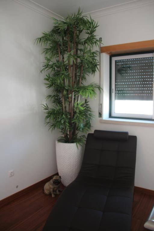 Olive View Villa Vila Nova da Barquinha Luaran gambar
