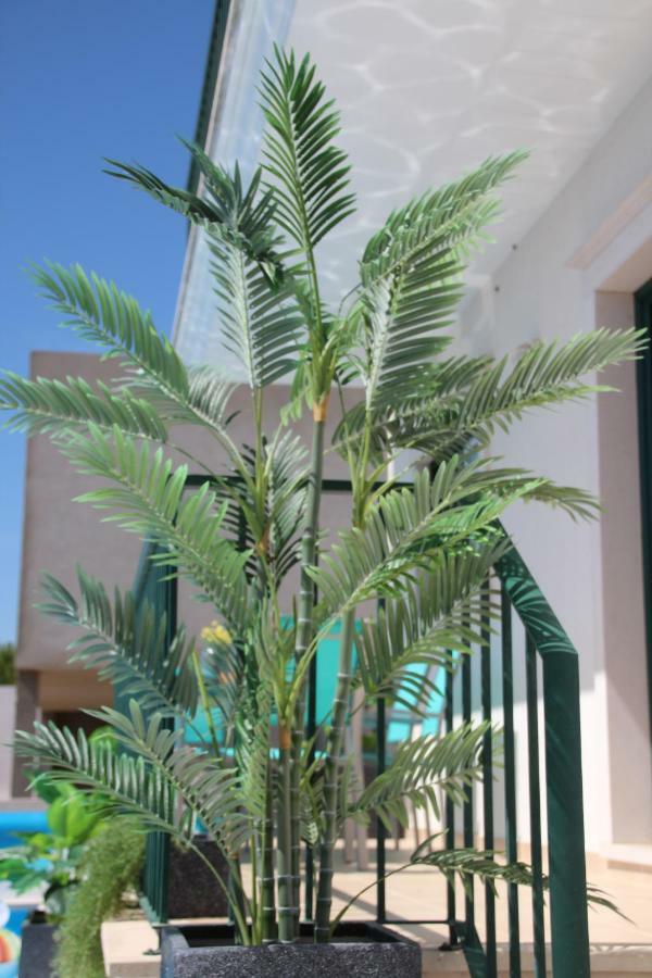 Olive View Villa Vila Nova da Barquinha Luaran gambar